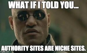 Niche Sites vs Authority Sites: What’s...