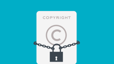 OnlyFans DMCA Takedown – How To Handle Copyright Removals As A Creator