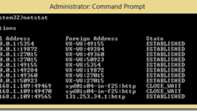Netstat for Security Professionals – Cybersecurity Leadership