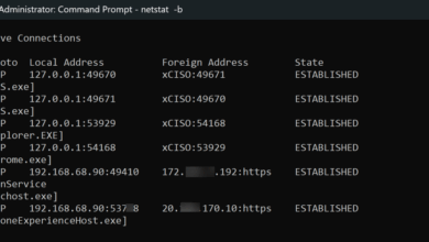 Netstat for Incident Response – Cybersecurity Leadership
