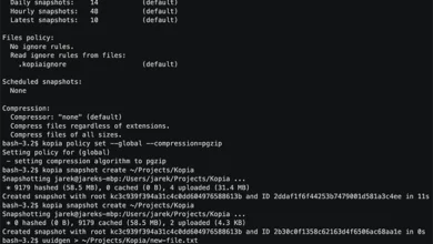 Kopia: Open-source encrypted backup tool for Windows, macOS, Linux