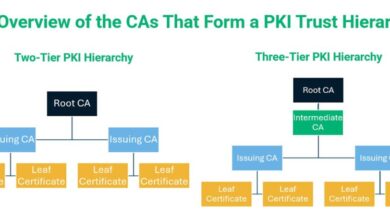 Demystifying PKI Technology: An Essential Guide for IT Security Professionals