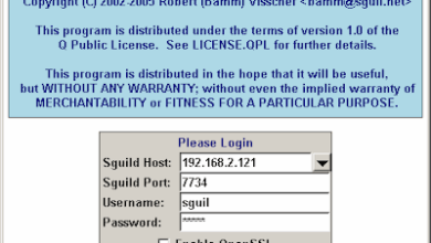 Key Network Questions